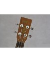 Eleuke -PE